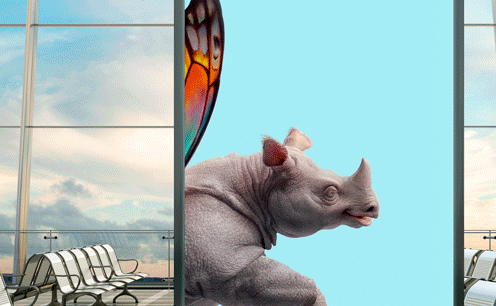 amundi cpr invest rhino butterfly dooh motion frappa small